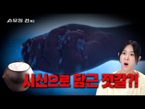 [스모킹건: 다음 사건] 왜 제 어머니를 죽이셨나요 '가족 잔혹사'