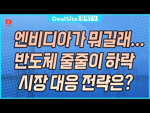 [라이브] 엔비디아가 뭐길래...반도체 줄줄이 하락, 시장 대응 전략은? #삼성전자 #엔비디아 #반도체