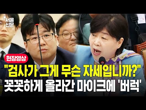"검사면 다예요?"...'관봉권 띠지 분실' 청문회서 한껏 올라간 마이크에 서영교 '격노'
