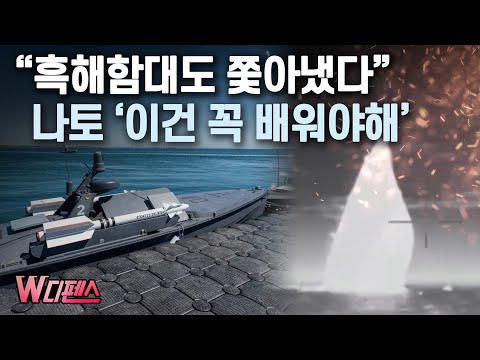 [W디펜스] "흑해함대도 쫓아냈다" 나토 '이건 꼭 배워야해' / 머니투데이방송
