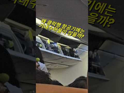 필리핀 클락행 항공기에는 왜 기내수하물이 많을까? #필리핀 #클락 #앙헬레스 #여행 #아델투어 #fyp https://op.opparadise.com/data/apms/video/youtube/1-HNexxFTC4.jpg 필리핀 클락행 항공기에는 왜 기내수하물이 많을까? #필리핀 #클락 #앙헬레스 #여행 #아델투어 #fyp