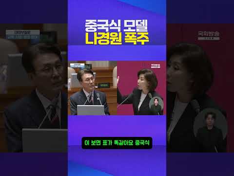 중국식 모델 #나경원