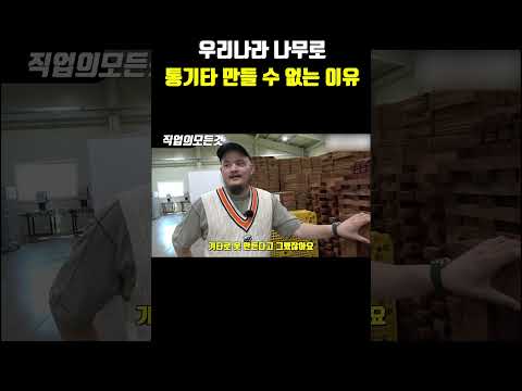 우리나라 나무로 통기타 만들 수 없는 이유