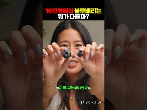 10만원짜리 블루베리는 뭐가 다를까? https://op.opparadise.com/data/apms/video/youtube/262ZU1O_OMg.jpg 10만원짜리 블루베리는 뭐가 다를까?