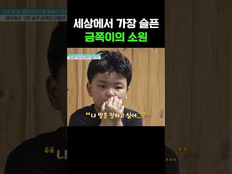 "나 말을 잘하고 싶어..." 자폐 의심 증상 금쪽이의 소원 #금쪽같은내새끼