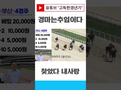 찾았다 내사랑 다나카? 다바카?