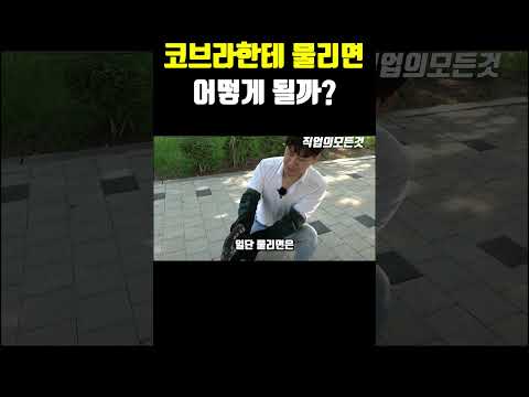 코브라한테 물리면 어떻게 될까?