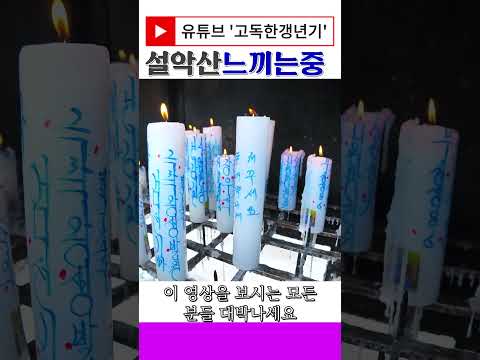 설악산 정기를 빨아버리는 고릴라