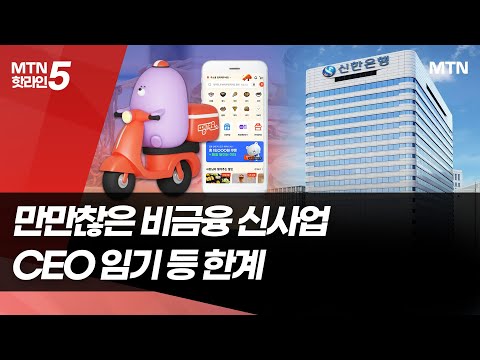 만만찮은 비금융 신사업… CEO 임기 등 한계 / 머니투데이방송 (뉴스)