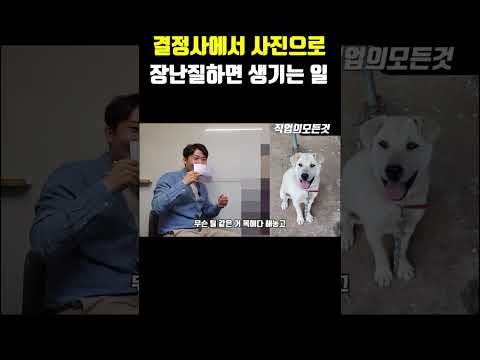결정사에서 사진으로 장난질하면 생기는 일