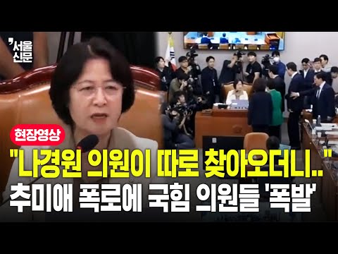 "아까 나경원 의원이 따로 말하던군요.."...추미애 국감 도중 폭로에 국힘 난리 났다
