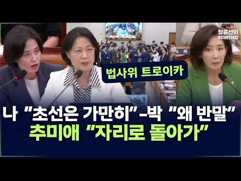 나경원 “초선은 가만히 앉아있어”-박은정 “왜 반말하세요”-추미애 “자리로 돌아가” 법사위  트로이카