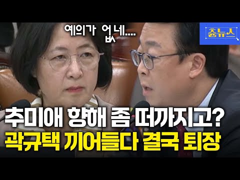 눈에서 레이저 발사한 추미애 법사위원장 '스윽' 보더니 곽규택 향해 불호령 #추미애 #곽규택