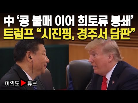 [여의도튜브] 中 ‘콩 불매 이어 희토류 봉쇄’ 트럼프 “시진핑, 경주서 담판” / 머니투데이방송