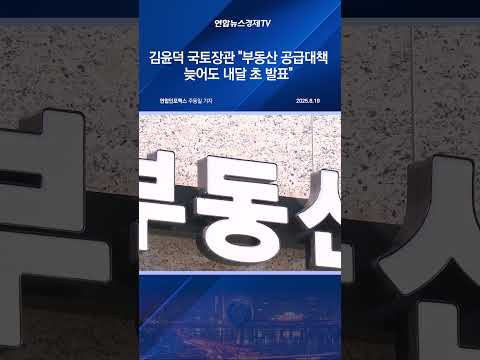 김윤덕 국토장관 "부동산 공급대책 늦어도 내달 초 발표"