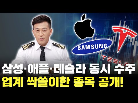 삼성과 애플, 테슬라까지? 업계 싹쓸이한 종목은?