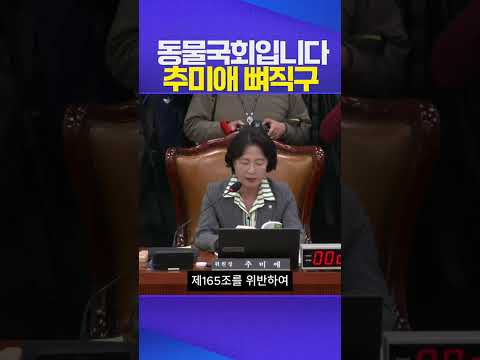 [자막] 분명 '동물국회'였습니다???? #추미애 #곽규택 #나경원