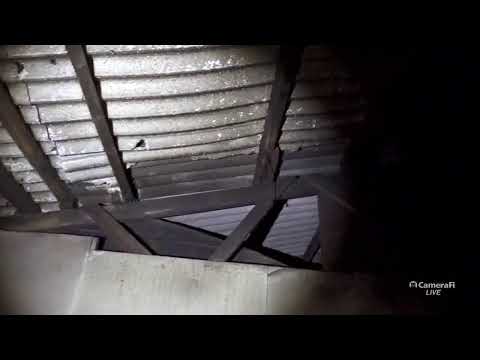 (공포흉가) 귀신이 산다