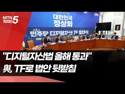 민주당 TF 출범…"디지털자산법 올해 통과"  / 머니투데이방송 (뉴스)