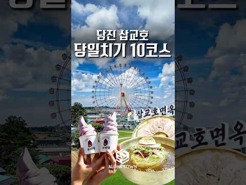 제발 속지마세요 안보면 후회하는 당일치기 당진 삽교호 여행&맛집 10코스 #shorts #맛집