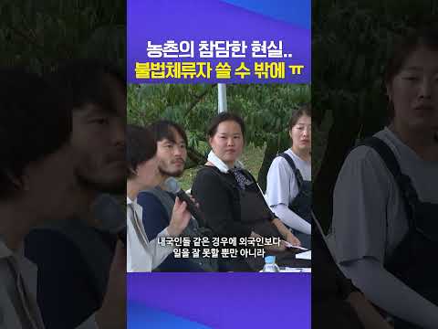 불법 체류자 #이재명