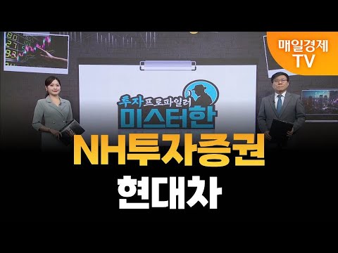 [야간투자본부] 투자 프로파일러 미스터 한 / NH투자증권 · 현대차 / 한규수 MBN골드 매니저