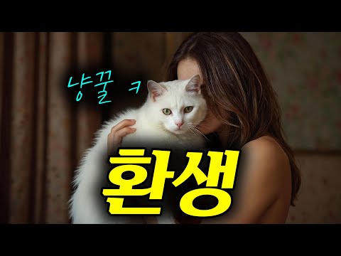 와.... [[초미녀 금수저]]의 "고양이"로 환생해버린 남자의 이야기......진짜 개부럽다 ㅠㅠㅜㅠ[영화리뷰, 결말포함]