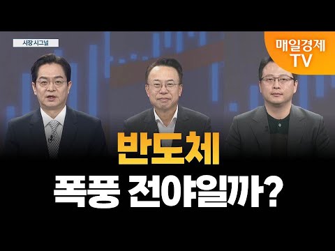 [시장 시그널] 엔비디아 실적, 반도체 주가 바꿀까? / 급락하는 반도체 투자전략은?  / 인성익 인베스트자문 고문, 황태규 ㈜광장 부장