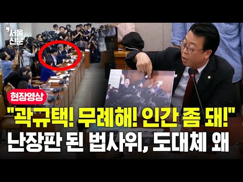 "곽규택! 무례해! 인간 좀 돼!" 난장판 된 법사위, 도대체 왜?