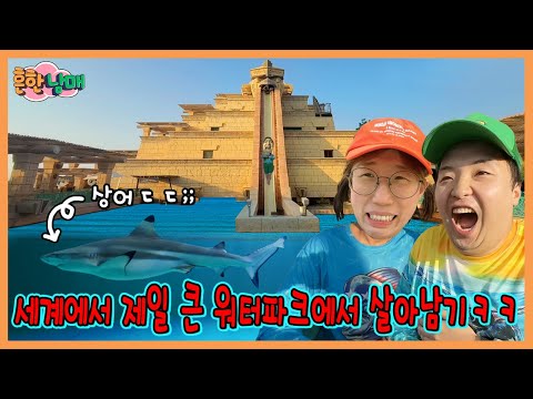 세계적인 부자 데이지의 수영장? 세계에서 제일 큰 워터파크에 가다! (두바이 2화!) https://op.opparadise.com/data/apms/video/youtube/9wrZfho4jfs.jpg 세계적인 부자 데이지의 수영장? 세계에서 제일 큰 워터파크에 가다! (두바이 2화!)