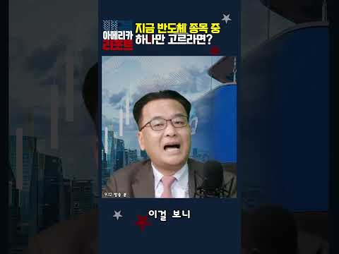 [매아리] 지금 반도체 종목 중 하나만 고르라면?