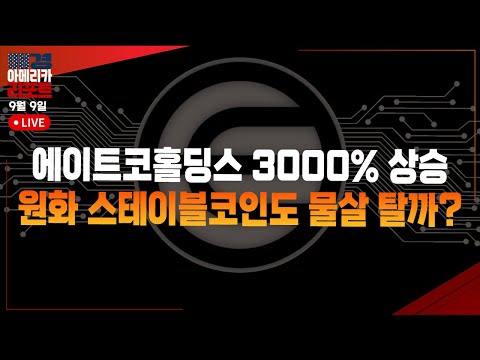 [매아리] 반도체 판도 바뀌나 트럼프 수혜국 관세 면제, 지금 노려야 할 종목은 | 한태현 메리츠증권 광화문프리미어센터 과장, 김흥태 MBN골드 매니저