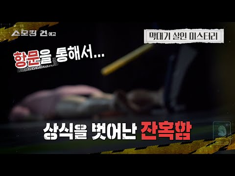 [스모킹건: 다음 사건] '막대기 살인 미스터리'
