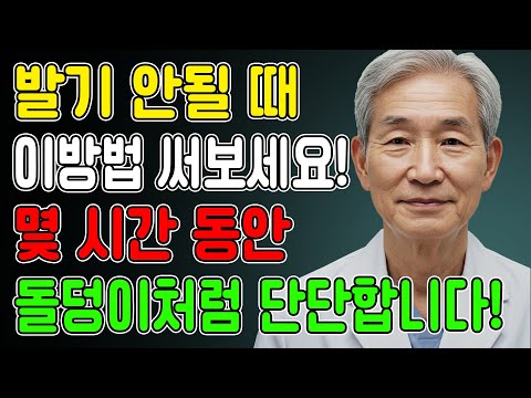60대 남성, 비아그라 없이 발기력 회복한 비결｜의사가 밝힌 진짜 원인 | 발기부전 치료 방법 / 교훈 / 철학 / 노인의 지혜 / 노년의 삶