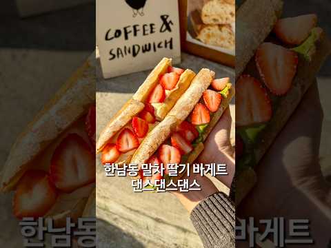 말차 딸기 두부크림치즈 바게트 용산 댄스댄스댄스 https://op.opparadise.com/data/apms/video/youtube/BbJBub9sJSk.jpg 말차 딸기 두부크림치즈 바게트 용산 댄스댄스댄스