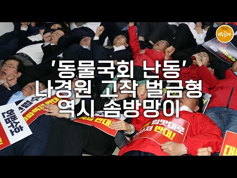 [251121_김호경 에디터] '동물국회 난동' 나경원 고작 벌금형…역시 솜방망이