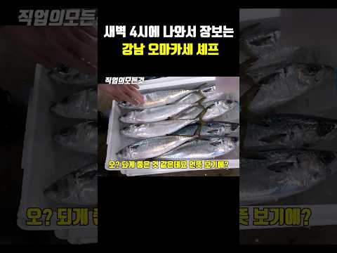 새벽 4시에 나와서 장보는 강남 오마카세 셰프