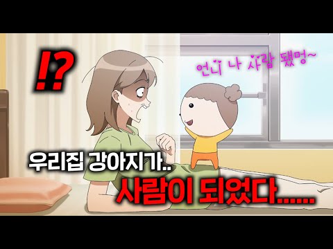 미친.. 평균 평점 9.98이 가능하다고..? 별 기대 안 하고 봤다가 역대급 개재밌게 본 미친 애니메이션 ㅋㅋㅋㅋㅋㅋㅋㅋㅋㅋ ≪마루는 강쥐≫