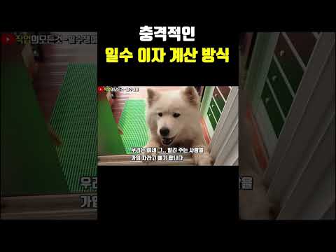 충격적인 일수 이자 계산 방식