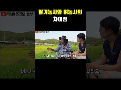 딸기농사와 벼농사의 차이점