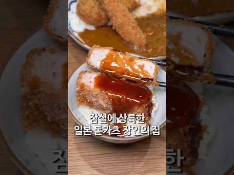 일본 돈카츠집 잠실에서 먹고옴 https://op.opparadise.com/data/apms/video/youtube/CNfEX9P1c7s.jpg 일본 돈카츠집 잠실에서 먹고옴