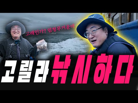 고릴라 생애 첫 낚시 도전! 엄청난게 걸렸는데!? #고독한갱년기