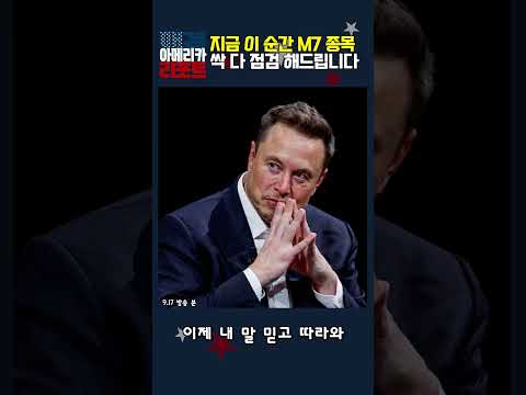 [매아리] 지금 이 순간 M7 종목 싹 다 점검 해드립니다