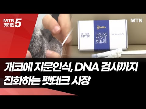 개코에 지문인식, DNA 검사까지… 진화하는 펫테크 시장 / 머니투데이방송 (뉴스) https://op.opparadise.com/data/apms/video/youtube/Cab-OuZPChs.jpg 개코에 지문인식, DNA 검사까지… 진화하는 펫테크 시장 / 머니투데이방송 (뉴스)