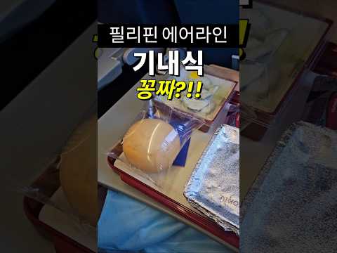 필리핀에어라인 기내식이 공짜??!! #필리핀 #동남아 #동남아골프 #동남아여행 #황제 #여행 #아델투어 #fyp