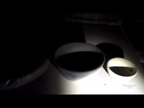 (공포흉가)대나무 귀신