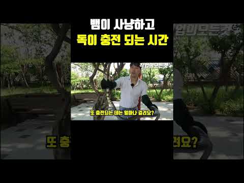 뱀이 사냥하고 독이 충전 되는 시간