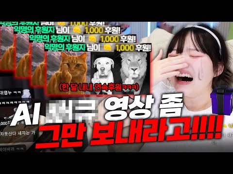 한달 내내 ai 법규 후원으로 괴롭히기ㅋㅋㅋㅋ