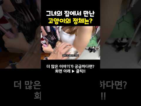 고양이가 돼버린 그녀 #여행유튜버 #shorts