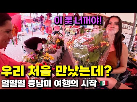 한국을 너무 좋아하는 멕시코 시골마을 에서 만난 따뜻한 모녀, 중남미 여행의 시작    멕시코 (1)